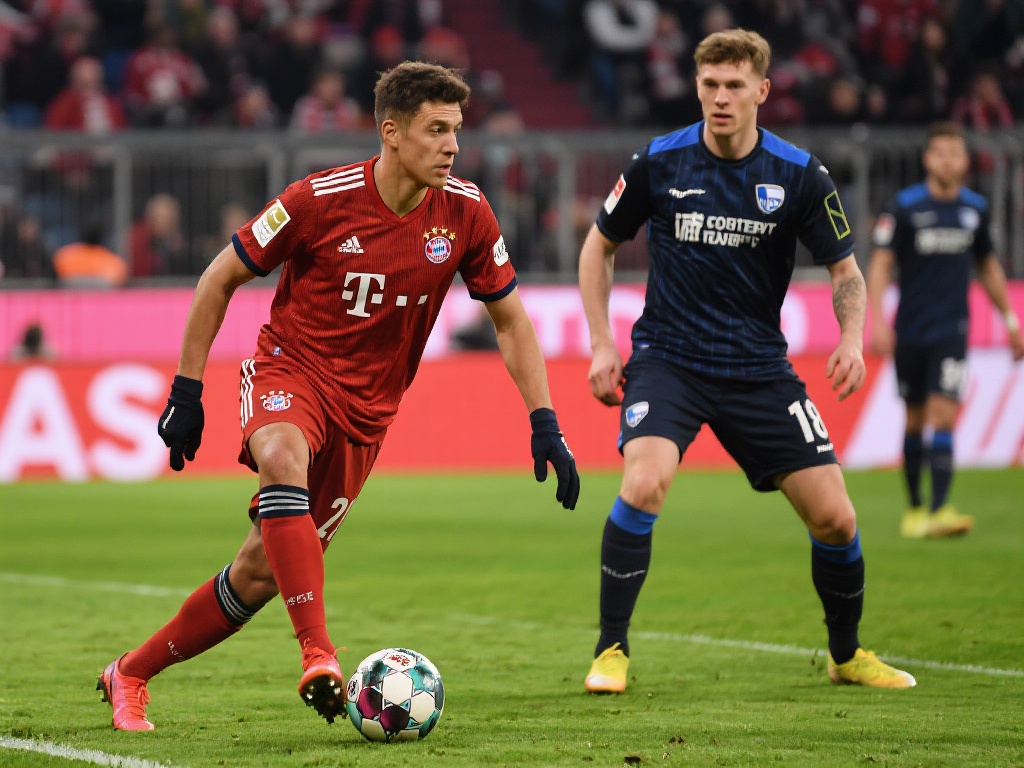 成为了社会 成为了社会